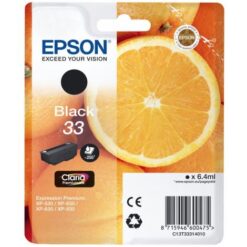 Epson T3331 (C13T33314012) BK  originální - výprodej